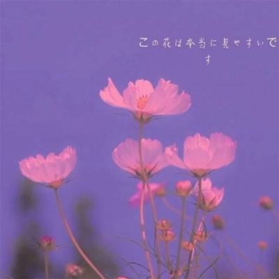 窗口期只有一年？“龙虾”竞速背后的AI暗战：京东另辟“产业端”解法，能后来居上吗？