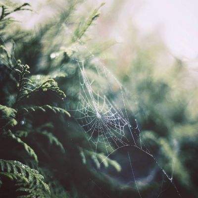 日本2月服务业通胀率升至2.7%四赴雄安 对“未来之城”再部署